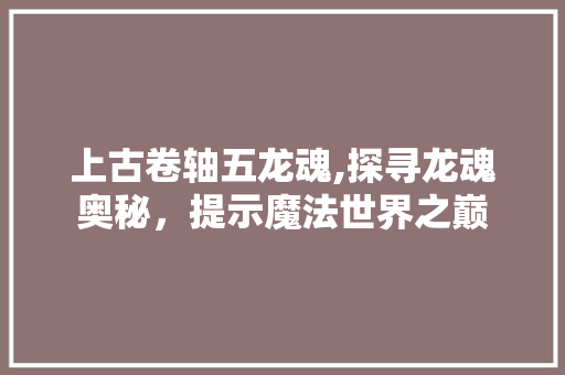 上古卷轴五龙魂,探寻龙魂奥秘，提示魔法世界之巅