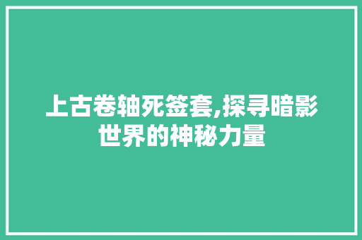 上古卷轴死签套,探寻暗影世界的神秘力量