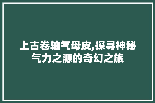 上古卷轴气母皮,探寻神秘气力之源的奇幻之旅