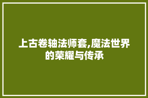 上古卷轴法师套,魔法世界的荣耀与传承