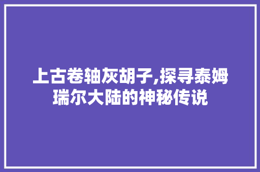 上古卷轴灰胡子,探寻泰姆瑞尔大陆的神秘传说