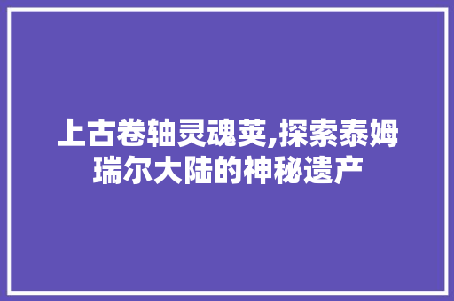 上古卷轴灵魂荚,探索泰姆瑞尔大陆的神秘遗产