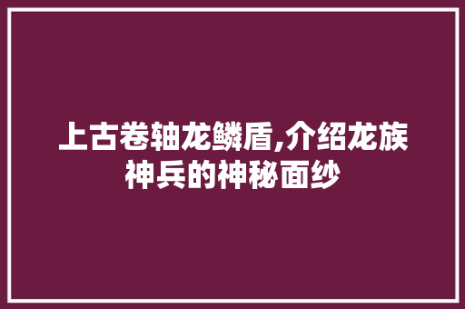 上古卷轴龙鳞盾,介绍龙族神兵的神秘面纱