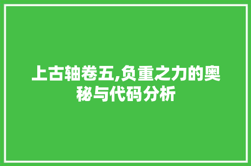 上古轴卷五,负重之力的奥秘与代码分析