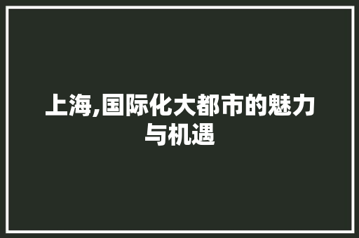 上海,国际化大都市的魅力与机遇