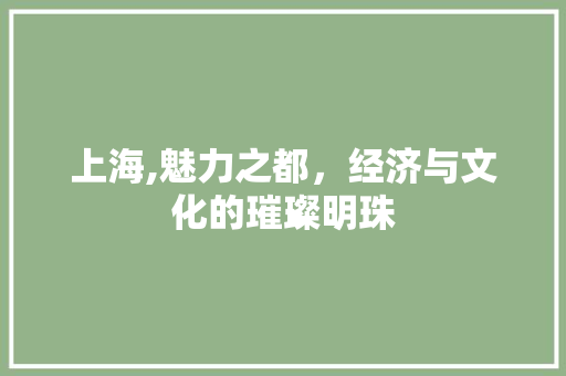 上海,魅力之都，经济与文化的璀璨明珠