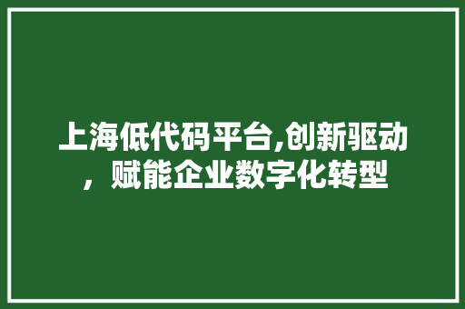 上海低代码平台,创新驱动，赋能企业数字化转型