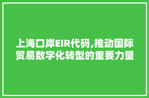 上海口岸EIR代码,推动国际贸易数字化转型的重要力量