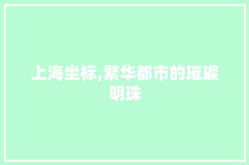 上海坐标,繁华都市的璀璨明珠