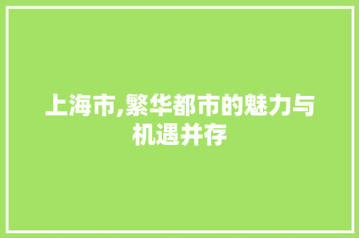 上海市,繁华都市的魅力与机遇并存