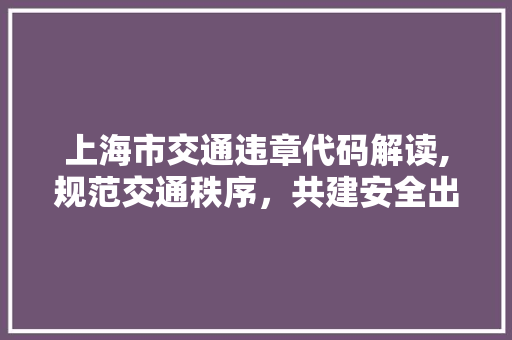 上海市交通违章代码解读,规范交通秩序，共建安全出行环境