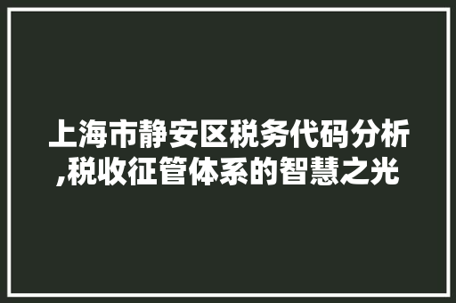 上海市静安区税务代码分析,税收征管体系的智慧之光