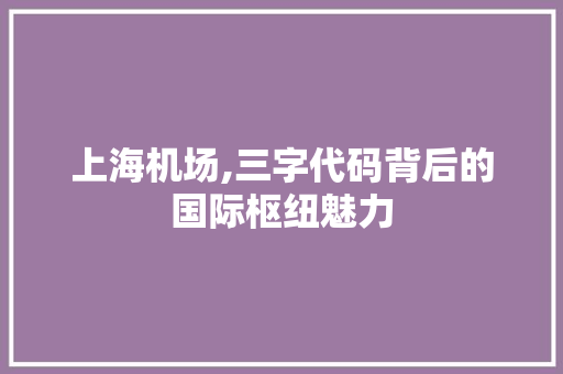 上海机场,三字代码背后的国际枢纽魅力