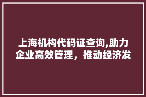 上海机构代码证查询,助力企业高效管理，推动经济发展