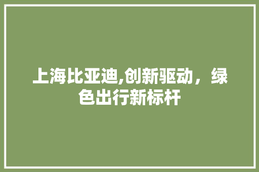 上海比亚迪,创新驱动，绿色出行新标杆