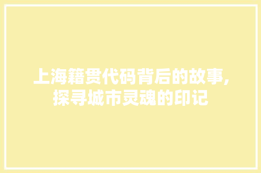 上海籍贯代码背后的故事,探寻城市灵魂的印记