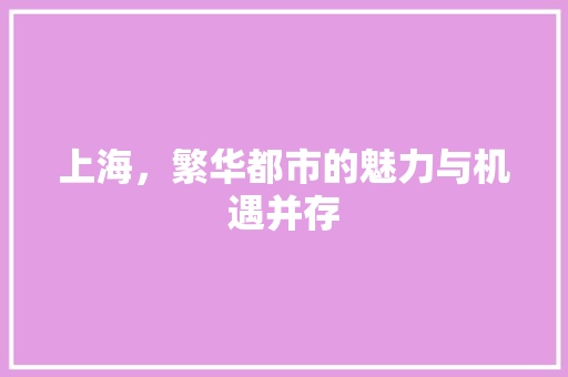 上海，繁华都市的魅力与机遇并存