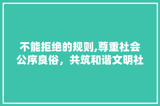 不能拒绝的规则,尊重社会公序良俗，共筑和谐文明社会