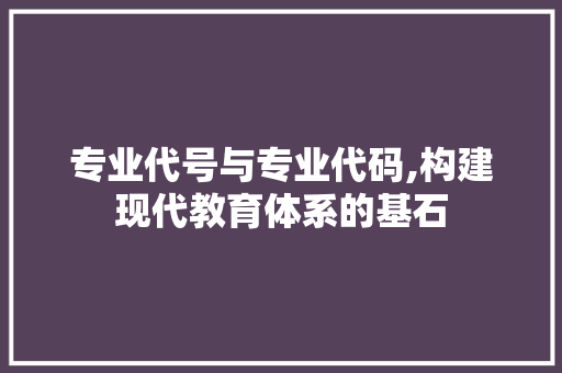 专业代号与专业代码,构建现代教育体系的基石