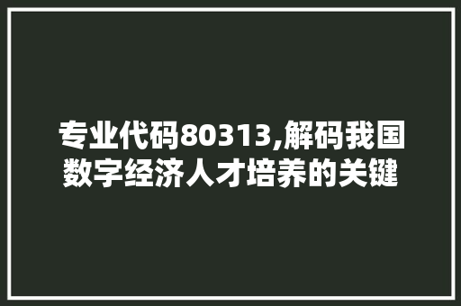 专业代码80313,解码我国数字经济人才培养的关键