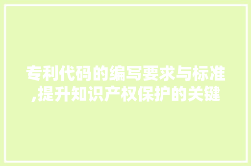 专利代码的编写要求与标准,提升知识产权保护的关键