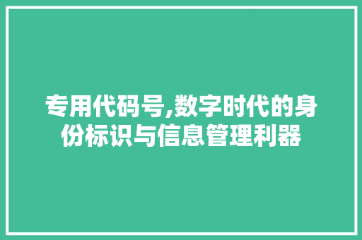 专用代码号,数字时代的身份标识与信息管理利器