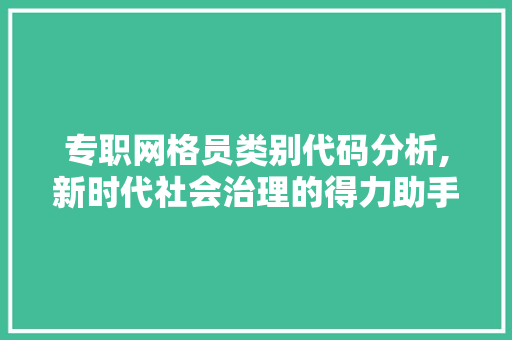 专职网格员类别代码分析,新时代社会治理的得力助手