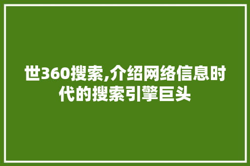 世360搜索,介绍网络信息时代的搜索引擎巨头