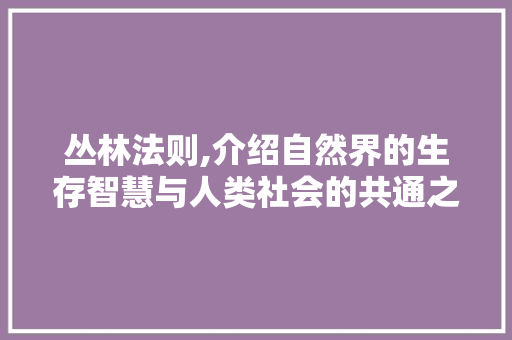 丛林法则,介绍自然界的生存智慧与人类社会的共通之处