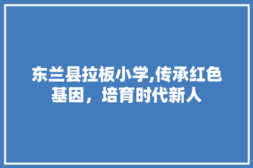 东兰县拉板小学,传承红色基因，培育时代新人