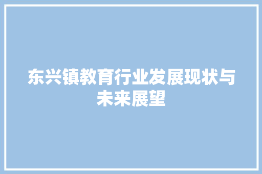 东兴镇教育行业发展现状与未来展望