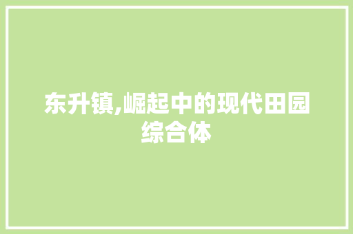 东升镇,崛起中的现代田园综合体 NoSQL