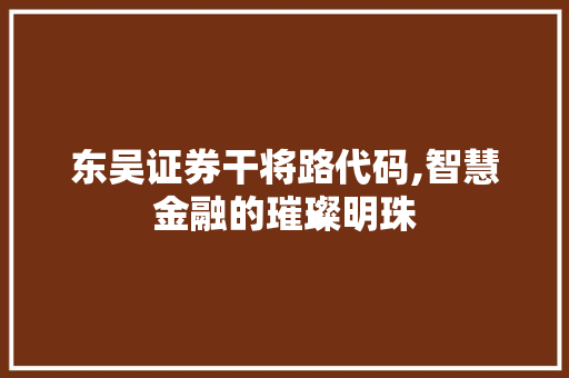 东吴证券干将路代码,智慧金融的璀璨明珠