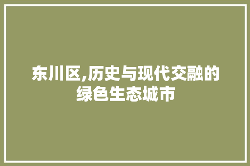 东川区,历史与现代交融的绿色生态城市