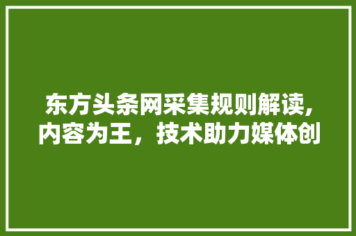 东方头条网采集规则解读,内容为王，技术助力媒体创新