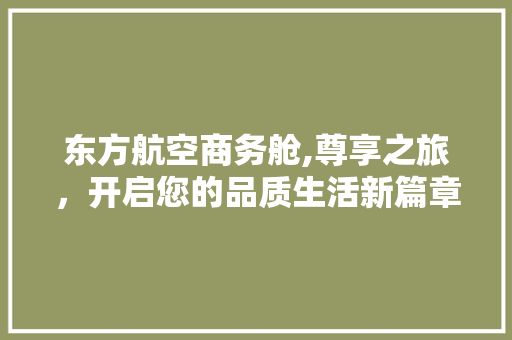 东方航空商务舱,尊享之旅，开启您的品质生活新篇章