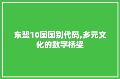 东盟10国国别代码,多元文化的数字桥梁