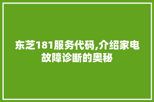 东芝181服务代码,介绍家电故障诊断的奥秘