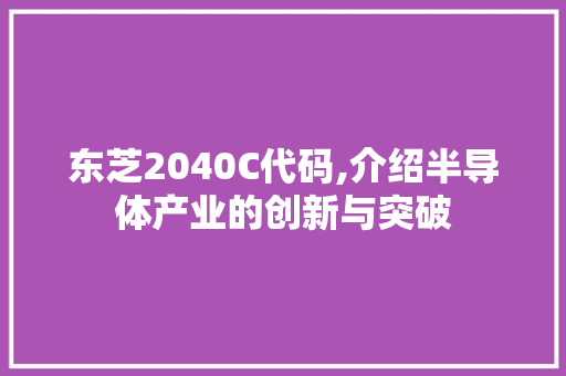 东芝2040C代码,介绍半导体产业的创新与突破