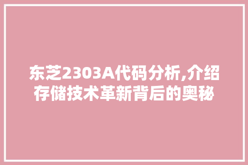 东芝2303A代码分析,介绍存储技术革新背后的奥秘