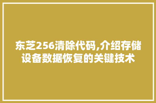 东芝256清除代码,介绍存储设备数据恢复的关键技术