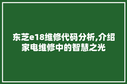 东芝e18维修代码分析,介绍家电维修中的智慧之光