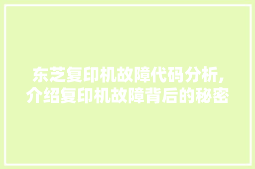 东芝复印机故障代码分析,介绍复印机故障背后的秘密