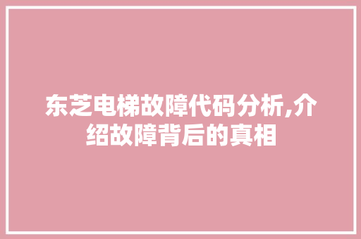 东芝电梯故障代码分析,介绍故障背后的真相