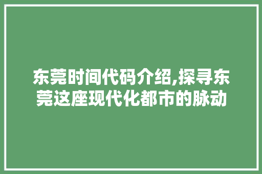 东莞时间代码介绍,探寻东莞这座现代化都市的脉动