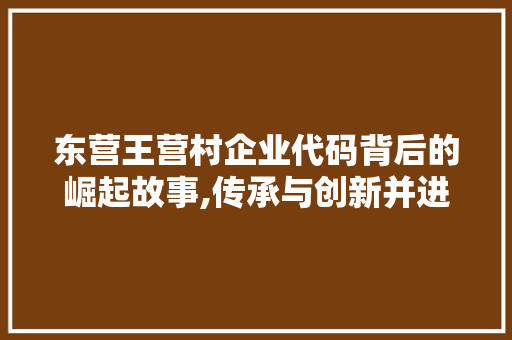 东营王营村企业代码背后的崛起故事,传承与创新并进