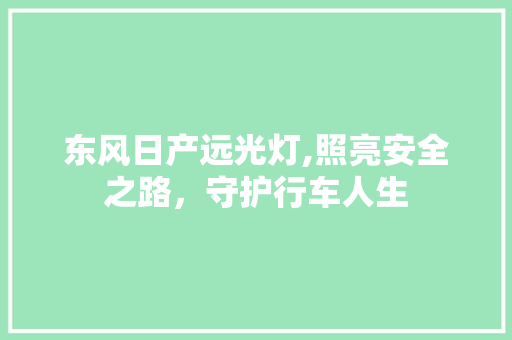 东风日产远光灯,照亮安全之路，守护行车人生