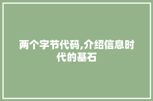 两个字节代码,介绍信息时代的基石