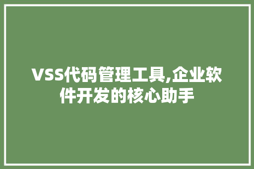 VSS代码管理工具,企业软件开发的核心助手