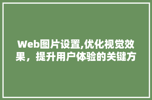 Web图片设置,优化视觉效果，提升用户体验的关键方法